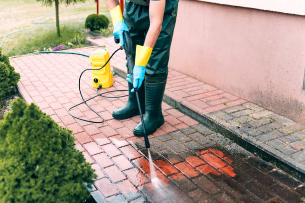 Animal Enclosure Cleaning in Rotonda, FL
